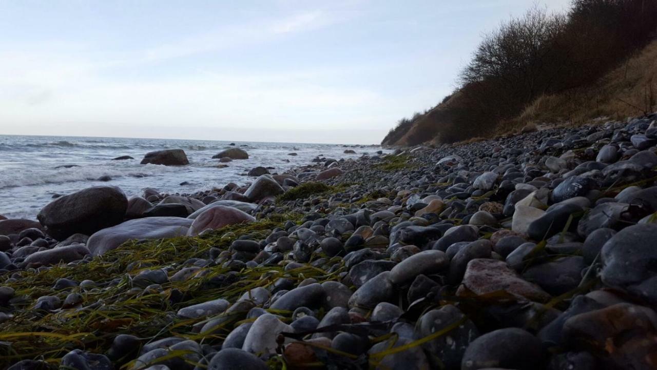 Urte In , Kap Arkona Ruegen *