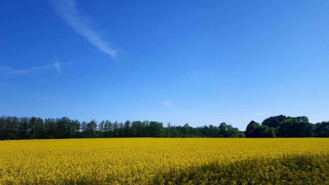 Urte In , Kap Arkona Ruegen *
